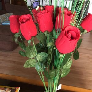 Meet your Posher, Remy